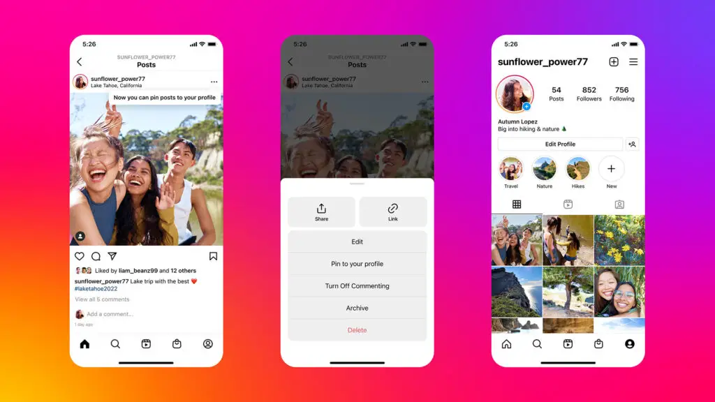 Instagram Introvert Bios - A picture of Instagram app