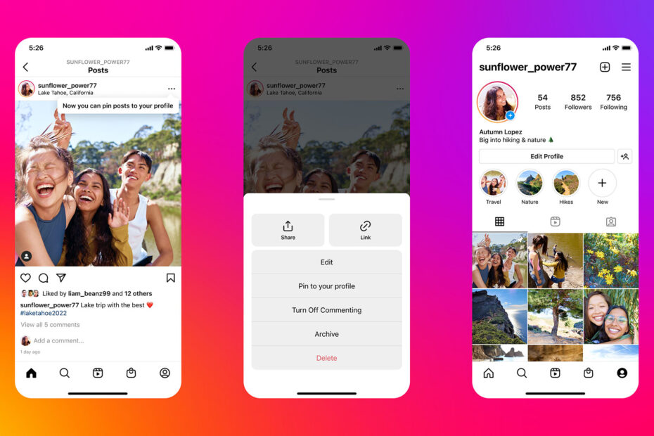 Instagram Introvert Bios - A picture of Instagram app